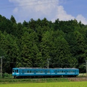 残暑の飯田線　= そよ風トレイン117　と　119系原色 =