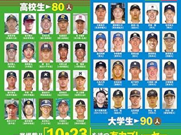 独立リーグ、NPBドラフト実績