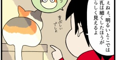 意思疎通不可能な「うちう猫」に猫らしさを教えてみたら…？