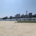 信濃川を見ながらお酒を飲む