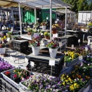 偶には愛車に 。。w