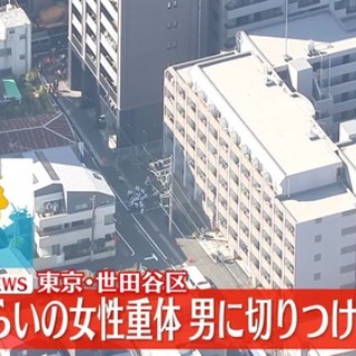 ハムスター速報