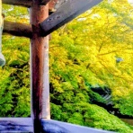 OKOTのんびり高原暮らし日記