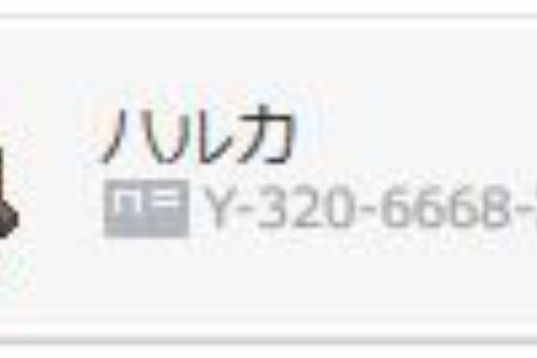 ウルトラメガzリーフストーム ポケモン