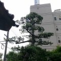 明後日から永代経法座が勤まります