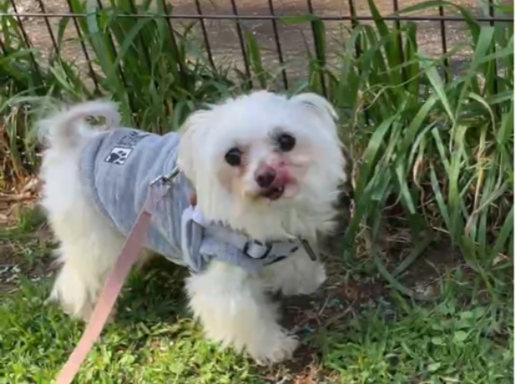 忙しくて😱中々blogがかけません😓💦💦