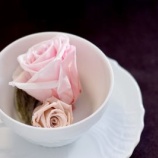 『どこか悪い？』の画像