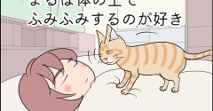 あんこ＆麦2434 まるは体の上でふみふみするのが好き