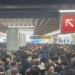 アンダマンナイト