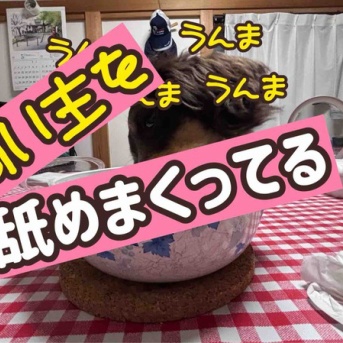 私が作る手抜きおかず。