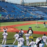 『【野球観戦】新国立競技場近く　明治神宮でのオープン戦を観てきました。』の画像