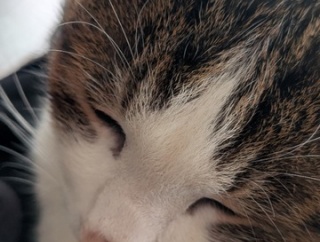 まったりストッククラス！ミウラ電波模型