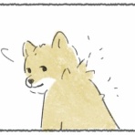 豆しばこつぶとキリの絵日記