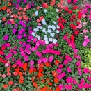 おでかけ〜さびしくなったり癒やされたり〜
