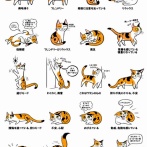 【知識】なんか普通にためになる画像貼ってけ