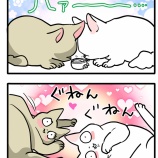 理想の「猫に木天蓼」が怖かった話