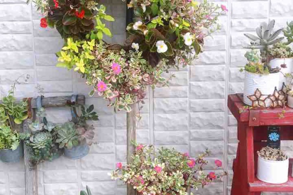 きの子のdiyガーデン ハンギングリース