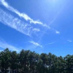おひとりさま→高齢シンママの徒然