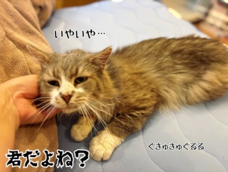 不健康はなりたくてなってる訳じゃない。