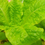 『老いの覚悟と生き方Ⅱ(5650回記念)(37)「80歳の壁・実践編(6)」』の画像