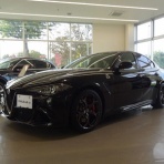 車椅子野郎のマイノリティで行こう
