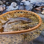 八幡平　春夏秋冬の宿　クボタロッジ