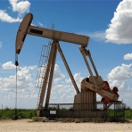 ガベージニュース