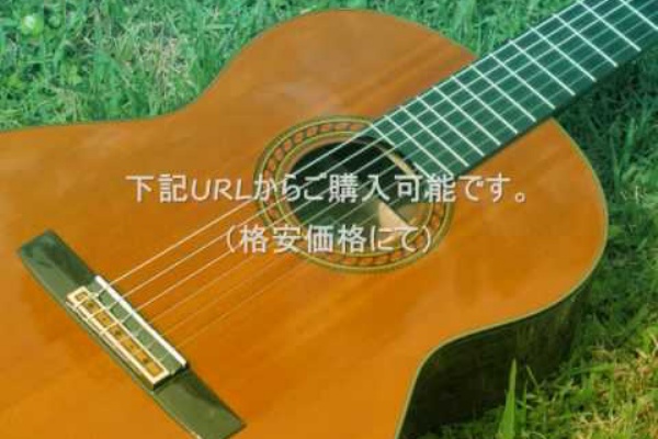 Bgm 癒し系 カフェ音楽 ギター音楽 作曲 楽曲製作の Blues Boy Com 16年10月