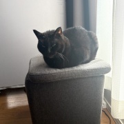 毎日スミちゃんの視線を感じてる