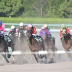 ルメール騎手「日本では競馬が野球に次ぐ人気2位のスポーツなんです！」
