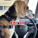 ガオだらけな日々　