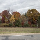 紅葉に癒されてます。