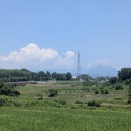 今日の道ばた　橘川遡上コース