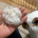 大人女子系ドナちゃん。