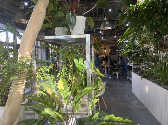 今年5月にオープンしたガーデンショップ＆カフェバー「roots ルーツ」に、やっと行ってきた。植物とカフェ。ワンちゃんもＯＫだって。(沼津市千本西町)