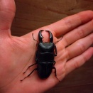 2024年沖縄本島&伊平屋島遠征