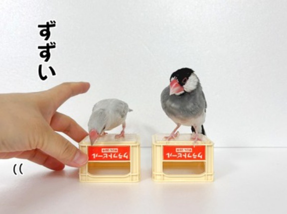 歌の指導が始まりました