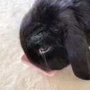 今日は。