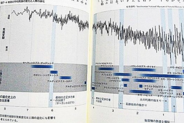 民族学伝承ひろいあげ辞典