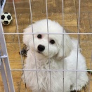 昨日で６ヶ月！！