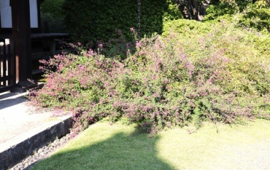 『２０２５年　☆気まぐれ☆　ベスト１０ーLast』の画像