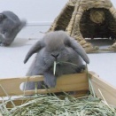 たくさん食べてたくさん遊んで