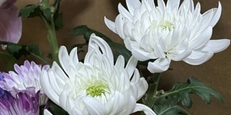 【衝撃】病気で休職していた職場の人が亡くなったのだが、そのお通夜で支店長が笑ってしまった。