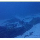 ベタ凪の良い海況