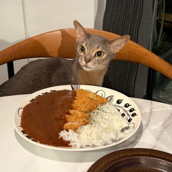 久々カツカレーの夜ごはんと、楽天マラソンラストスパート