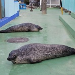 やってみて、手が届くところ。small step sky park