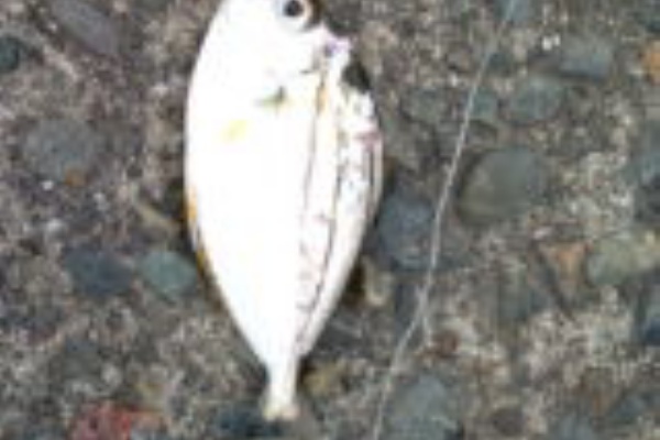 Melange アシスタントblog 林 真紀子