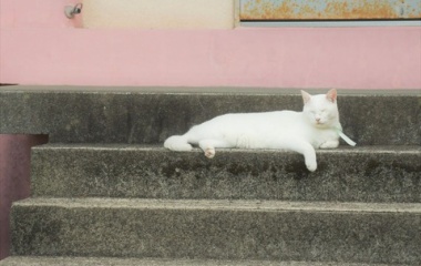 『Give me a break.』の画像