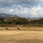 ヤギ飼ってみた