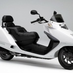 おじおばの奮闘記